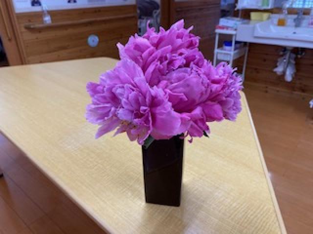 ご家族様より💐の写真1